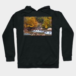 Fall in Zion NP Hoodie